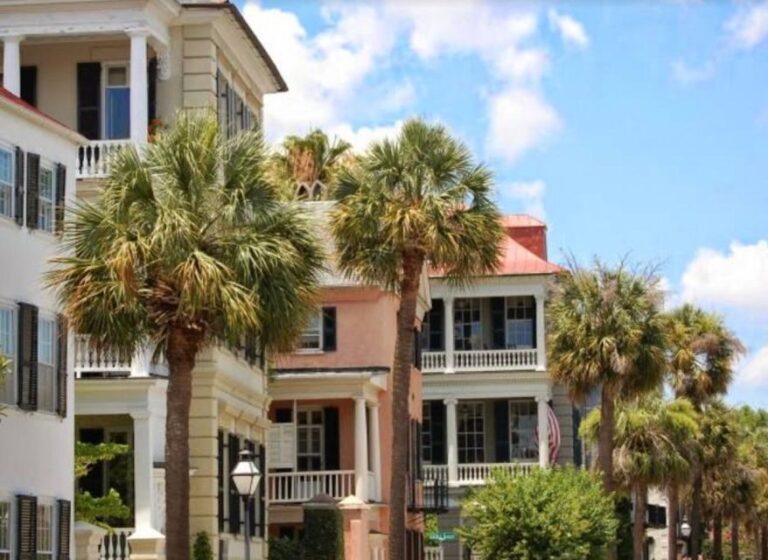 Charleston: City Tour with Charleston Museum Entry Combo - Who Will Love This Tour?
