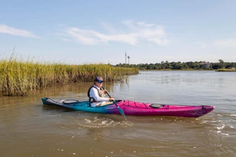Charleston: Folly Beach Morning Kayak Dolphin Safari - Wildlife Viewing and Scenic Highlights