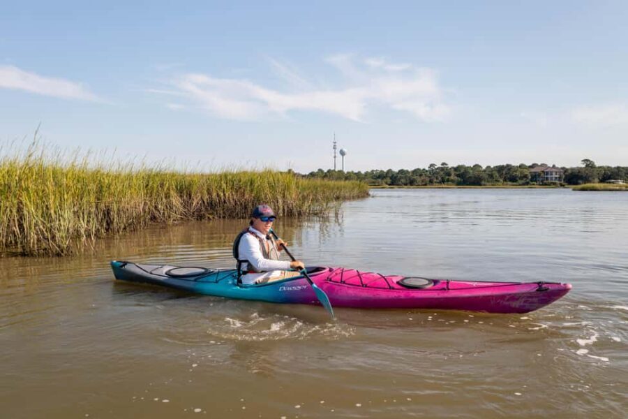 Charleston: Folly Beach Morning Kayak Dolphin Safari - Wildlife Viewing and Scenic Highlights
