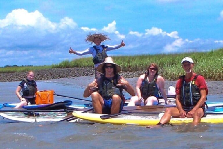 Charleston: Folly Beach Stand Up Paddleboard Dolphin Safari - The Experience and Group Dynamics