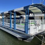 Charleston: Harbor Bar Pedal Boat Party Cruise - The Atmosphere and Experience