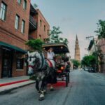 Charleston: Haunted Carriage Evening Tour - Who Will Love This Tour?
