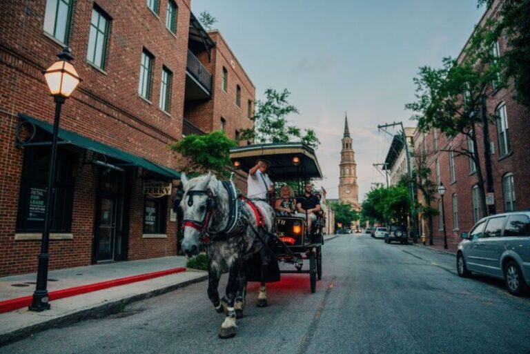Charleston: Haunted Carriage Evening Tour - Who Will Love This Tour?