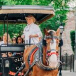 Charleston: Historical Downtown Tour by Horse-drawn Carriage - The Ride and Stops: A Closer Look