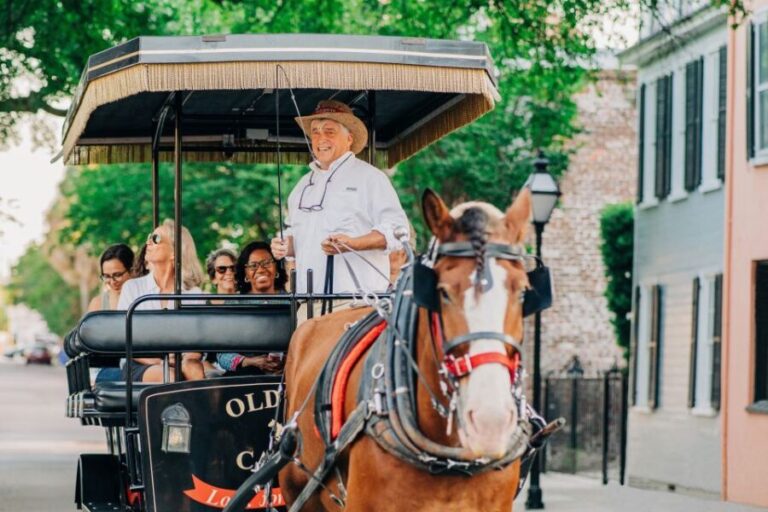 Charleston: Historical Downtown Tour by Horse-drawn Carriage - The Ride and Stops: A Closer Look