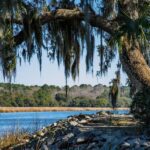 Charleston: Magnolia Plantation with Transport and City Tour - The Experience Through the Lens of Reviews