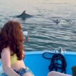 Charleston: Morris Island Dolphin Cruise with Beachcombing - The Experience – A Deep Dive