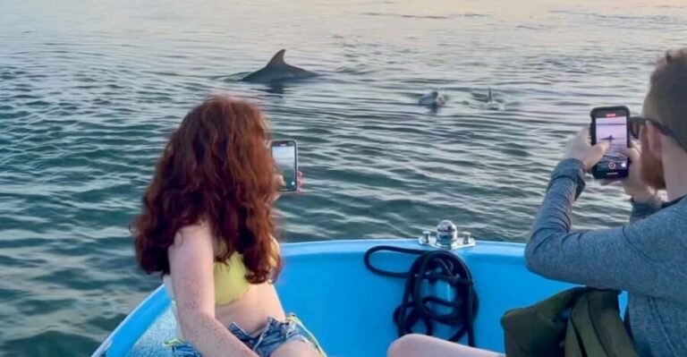 Charleston: Morris Island Dolphin Cruise with Beachcombing - The Experience – A Deep Dive