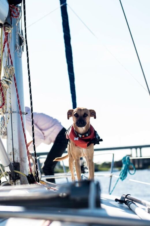 Charleston: Private BYOB Luxury Yacht Cruise - Benefits of a Private Yacht Experience