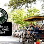Charleston, SC: Private Daytime Horse-Drawn Carriage Ride - Final Thoughts