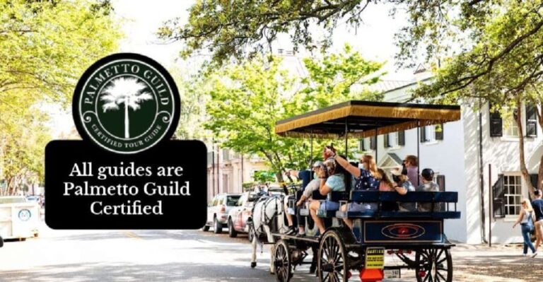 Charleston, SC: Private Daytime Horse-Drawn Carriage Ride - Final Thoughts