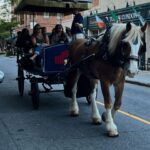 Charleston, SC: Private Evening Horse & Carriage Tour - An Honest Breakdown of the Charleston Private Horse & Carriage Tour