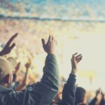 Charlotte: Panthers Football Game at Bank of America Stadium - The Sum Up