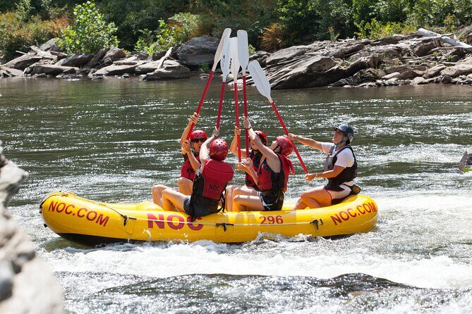Chattooga River Rafting - Mild: Section 3 - Real Traveler Feedback
