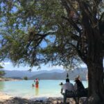 Check out Hierve el Agua, Mitla, the Tule Tree, Rugs, and a Mezcal Distillery Tour - The Practical Details