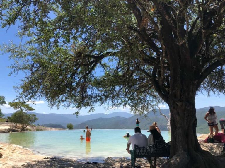 Check out Hierve el Agua, Mitla, the Tule Tree, Rugs, and a Mezcal Distillery Tour - The Practical Details