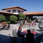 Cheese and Wine Route Tour with starting from Querétaro - What Makes This Tour Stand Out?