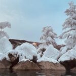 Chena Hot Spring Day Trip - Real Travelers’ Perspectives