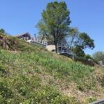 Chesapeake Beach Guided Walking Tour - The Cliffs - What Makes This Tour Stand Out?