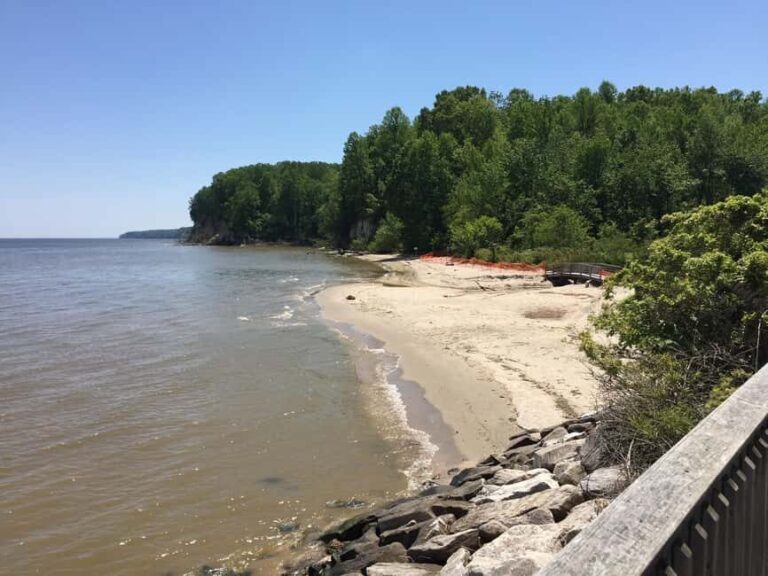 Chesapeake Beach: Guided Walking Tour to The Cliffs - What Makes the Experience Stand Out
