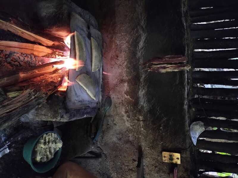 Chiapas Highlands: Ancient Rituals and Traditions Tour - Final Thoughts: Who Should Consider This Tour?