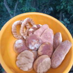 Chiapas: Immersive Zoque Culinary Experience - The Experiences Value