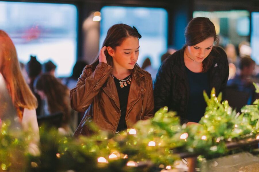Chicago: Christmas Eve Lake Michigan Gourmet Dinner Cruise - Price & Value