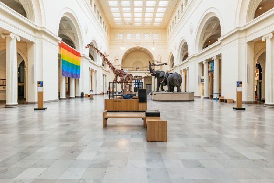 Chicago: Field Museum of Natural History Ticket or VIP Tour - Who Is This Tour Best For?