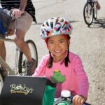 Chicago Full Day Bike Rental - The Little Things That Matter