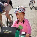 Chicago Half-Day Bike Rental - The Route and Key Sights