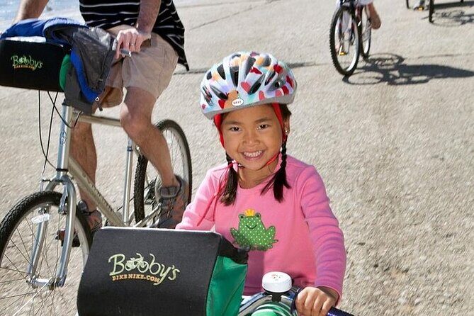 Chicago Half-Day Bike Rental - The Route and Key Sights