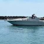 Chicago Private Rental Yacht Charter - Practical Tips for Booking