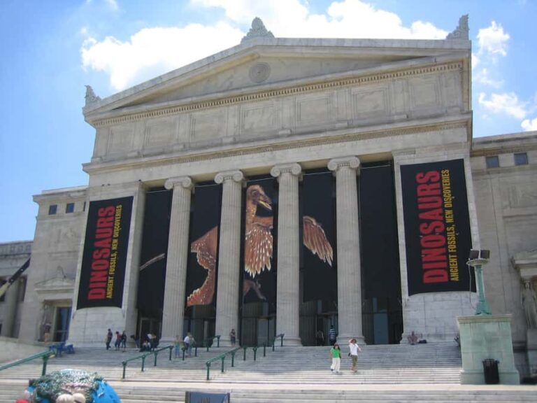 Chicago : The Field Museum Skip the Line 2H Guided Tour - The Price and Value