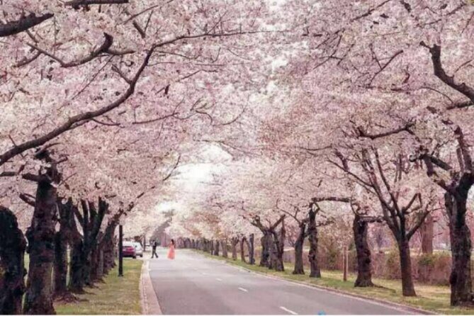 Chicago to Washington D.C. Cherry Blossom 3-Day Tour - Day 3: Return to Chicago with a Cultural Stop