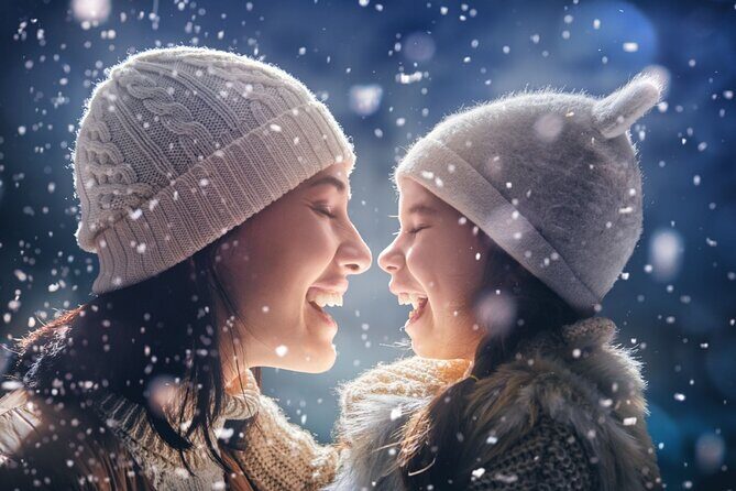 Chicagos Festive Lights: A Magical Christmas Journey - Breaking Down the Details