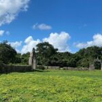 Chichen Itza Mayan Flavors and Jungle at Hacienda Privada with Cenote - What’s Included and What to Consider