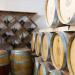 Chihuahua: Insignia Winery Wine Tasting Experience - Value for Money