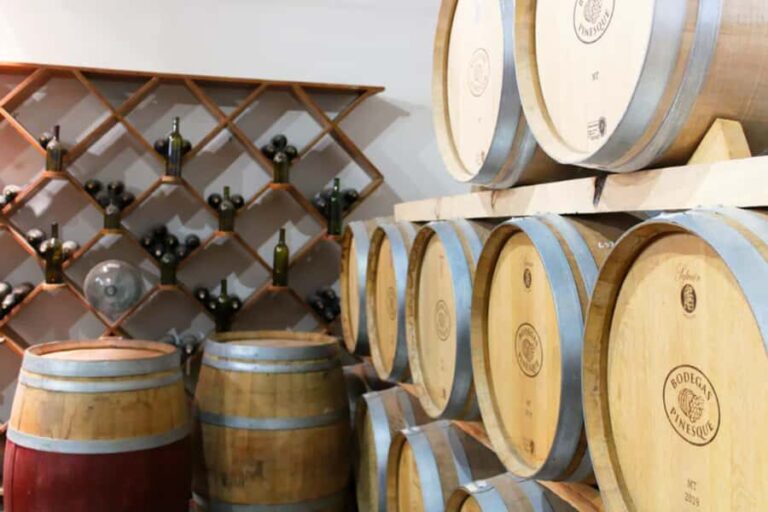 Chihuahua: Insignia Winery Wine Tasting Experience - Value for Money