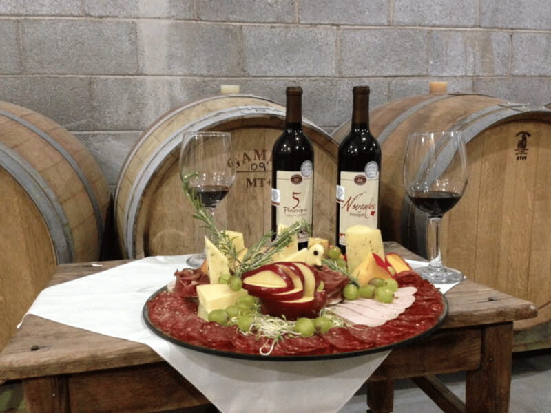 Chihuahua: Romantic Wine Tasting Experience - The Setting and Atmosphere
