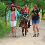 Children Mini Horse Rides - The Practicalities: What You Should Know