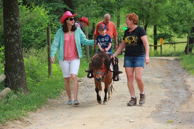 Children Mini Horse Rides - The Practicalities: What You Should Know