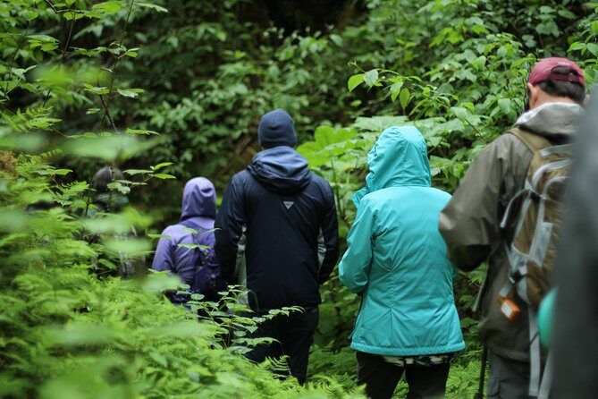 Chilkoot Trail Hike, Float, and Summit Drive - What the Reviews Say