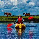 Chincoteague Canoe Rental around Assateague Island - Detailed Breakdown of the Experience