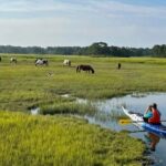 Chincoteague Kayak Rentals around Assateague Island - Navigation and Conditions