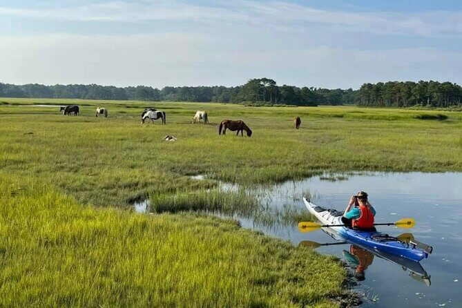 Chincoteague Kayak Rentals around Assateague Island - Navigation and Conditions