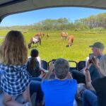 Chincoteague: Premier Pony & Wildlife Small Group Boat Tour - Final Thoughts: Is It Worth It?