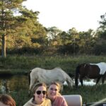 Chincoteague's Up The Bay Pony and Wildlife Tour by Boat - Why Travelers Keep Coming Back