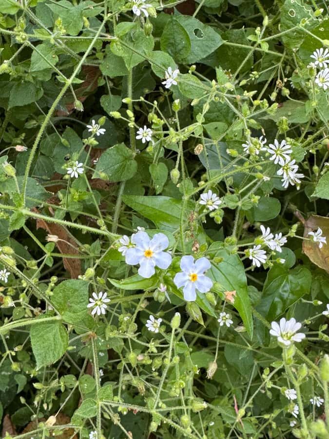 Chipinque Natural Park - Morning / Afternoon Hike - What to Expect on the Trail