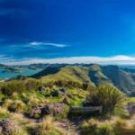 Christchurch City Highlights Half Day Tour - What Makes This Tour Stand Out?