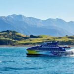 Christchurch: Kaikoura Whale Watching Day Tour - Arrival in Kaikoura and First Impressions